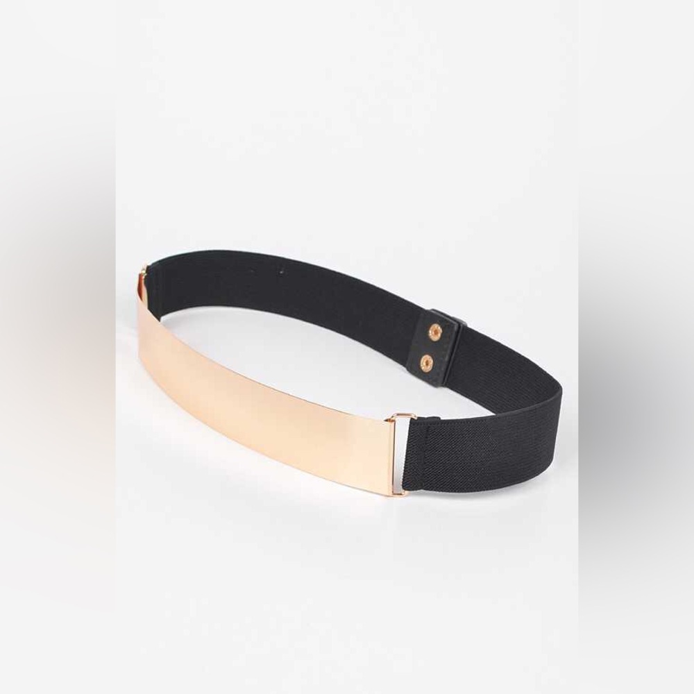 Plus Size Metallic Plaque Elastic Statement Belt - Picture 7 of 9